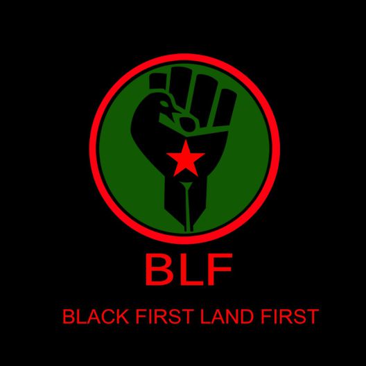 The Black First Land First (BLF) enigma